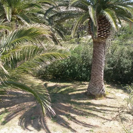 Aparthotel Avra Palm Ierápetra
