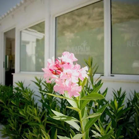 Aparthotel Avra Palm 3*