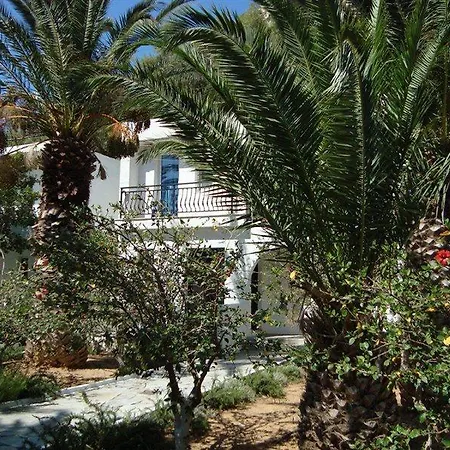 Avra Palm
