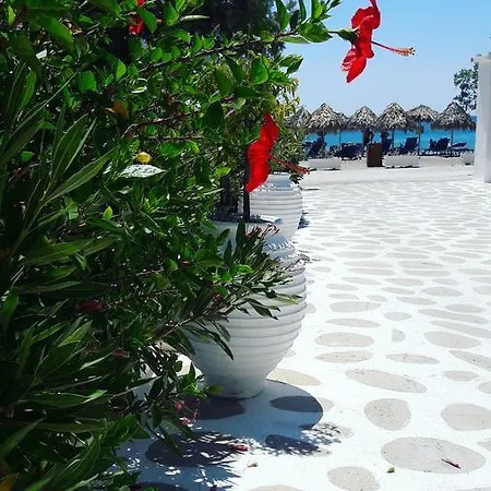 Avra Palm Ξενοδοχείο με διαμερίσματα 3*